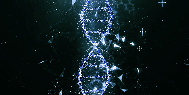 Longevity – is the key in your genetics?