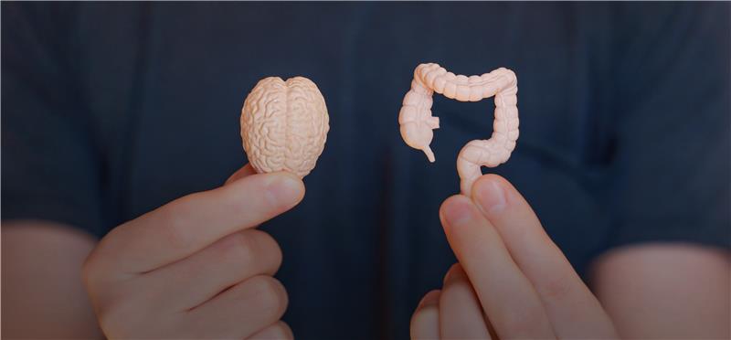 Trust your gut - it knows more than you think!