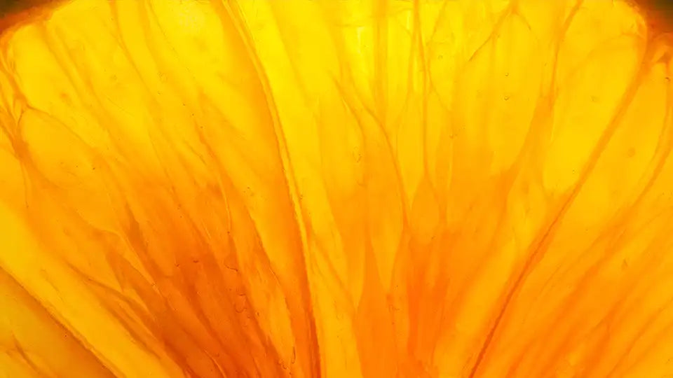 Clinical Dietitian Package