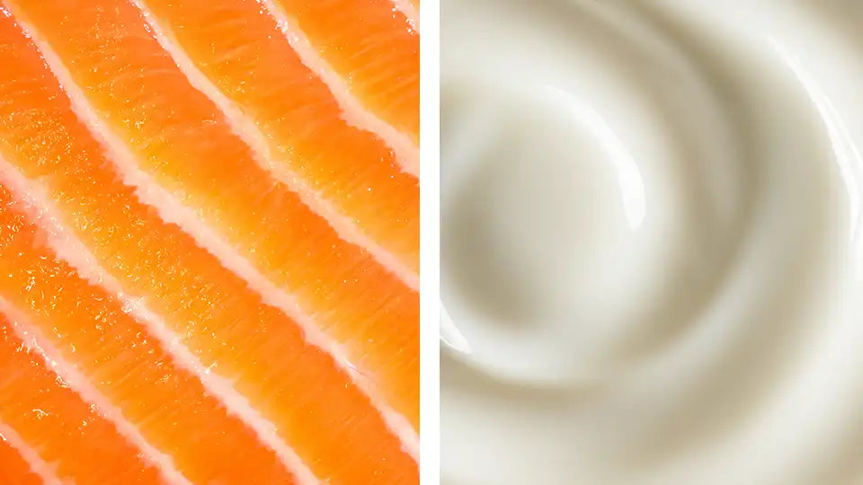 Food Allergy & Intolerance Bundle