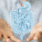 Gut Microbiome Health Package