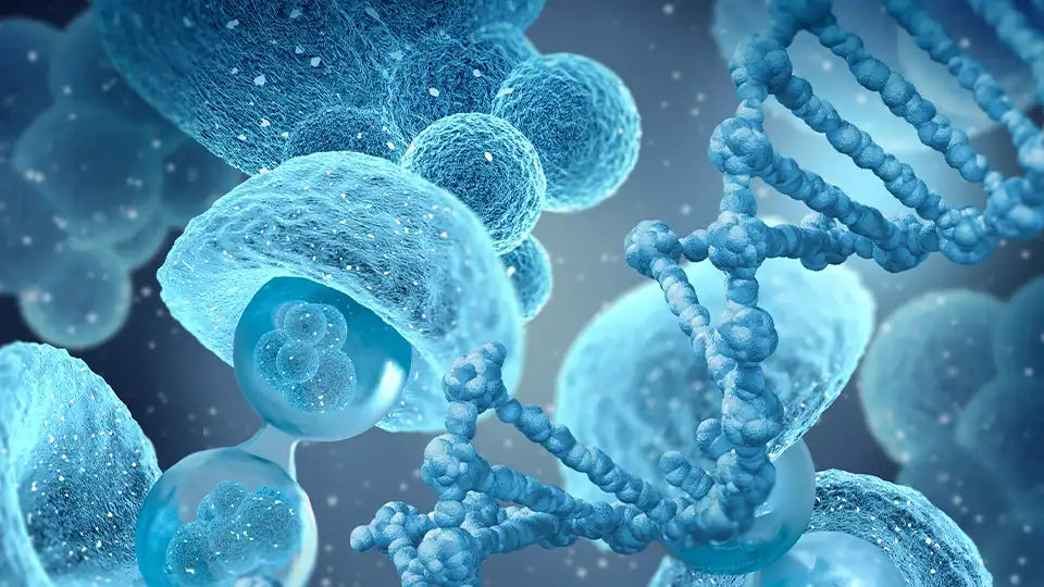 Standard Health Screening