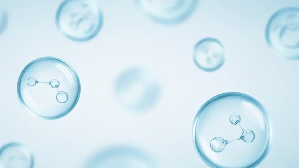 Premium PLUS Men's Health Screening