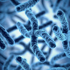 Smart DNA - Age Well Package