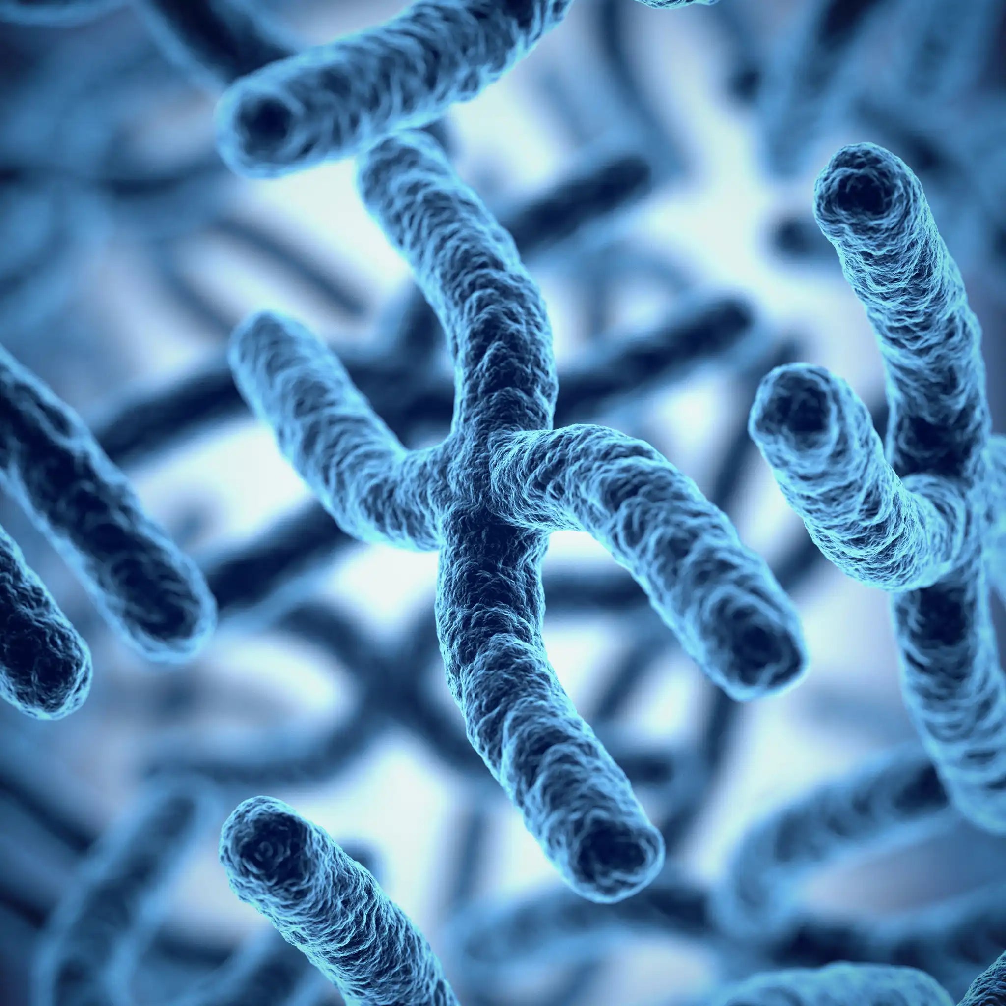 Smart DNA - Age Well Package
