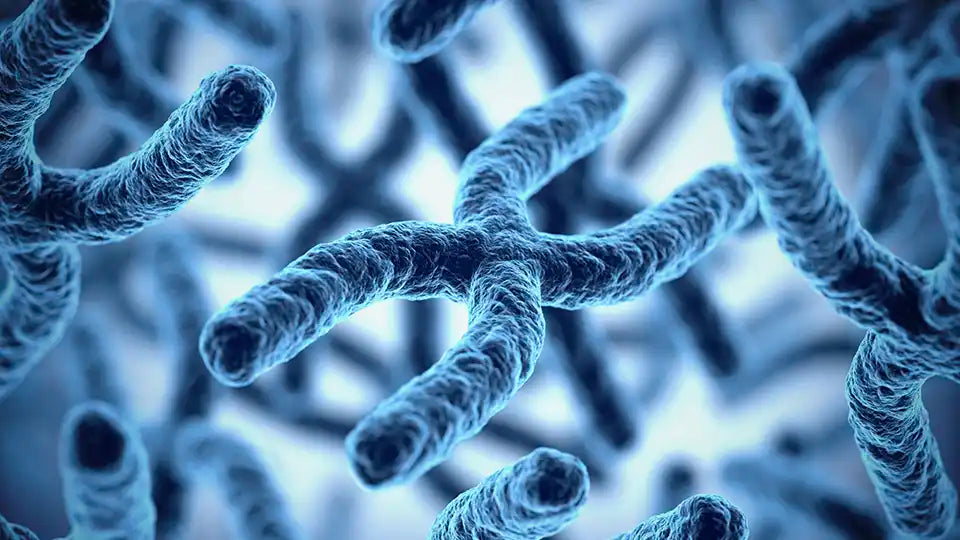 Smart DNA - Age Well Package